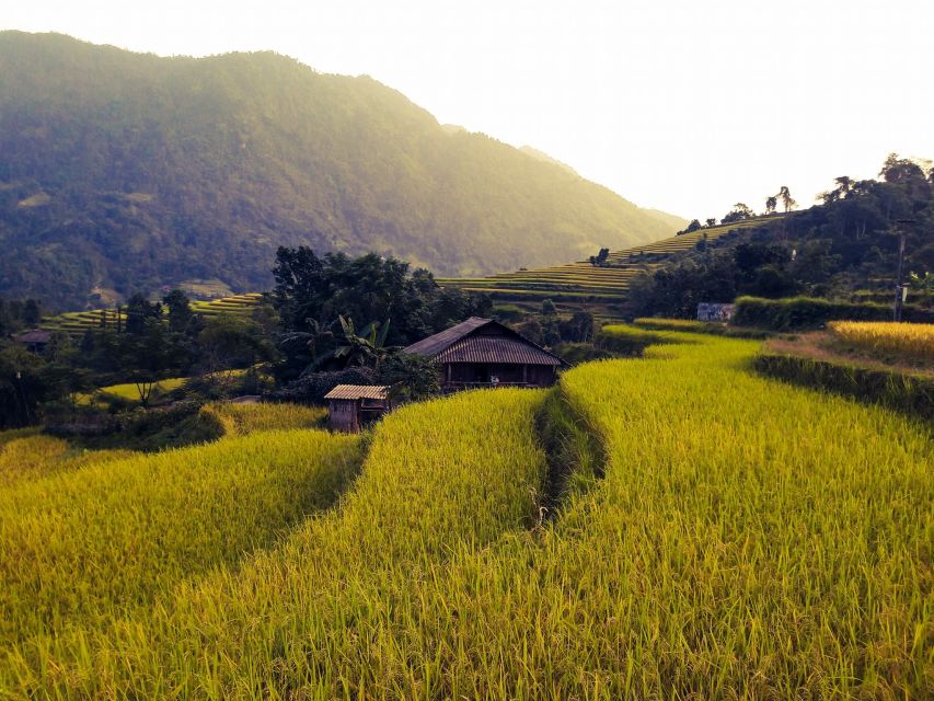 Sa Pa: Muong Hoa Valley Trek and Local Ethnic Villages - The final climb and return to Sa Pa