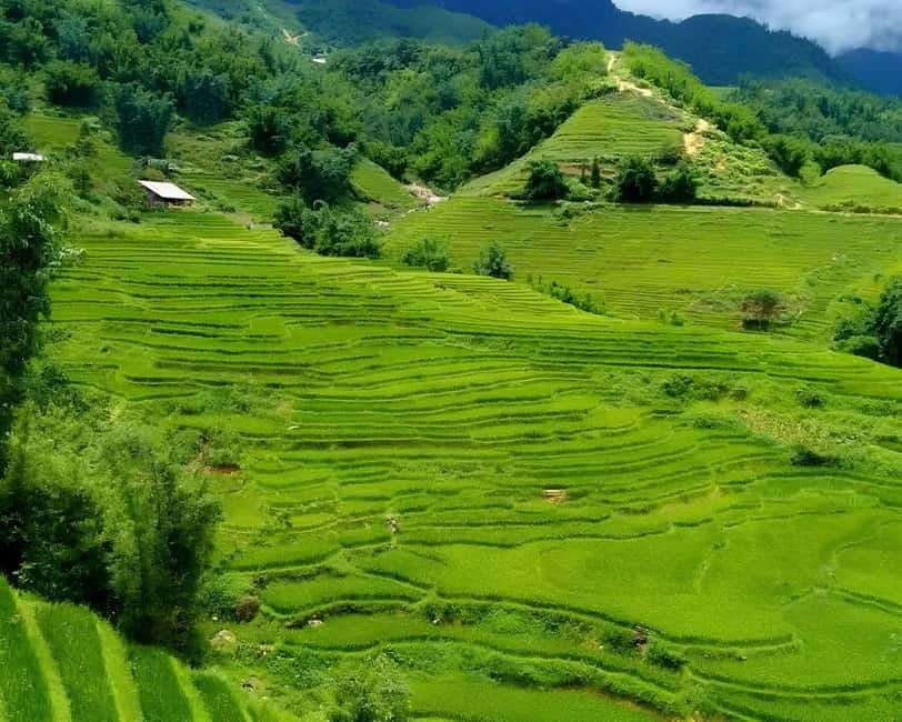Sapa 1 Day Long Trek: Trek to Hau Thao and Sa Seng Villages - Family-style lunch around midday