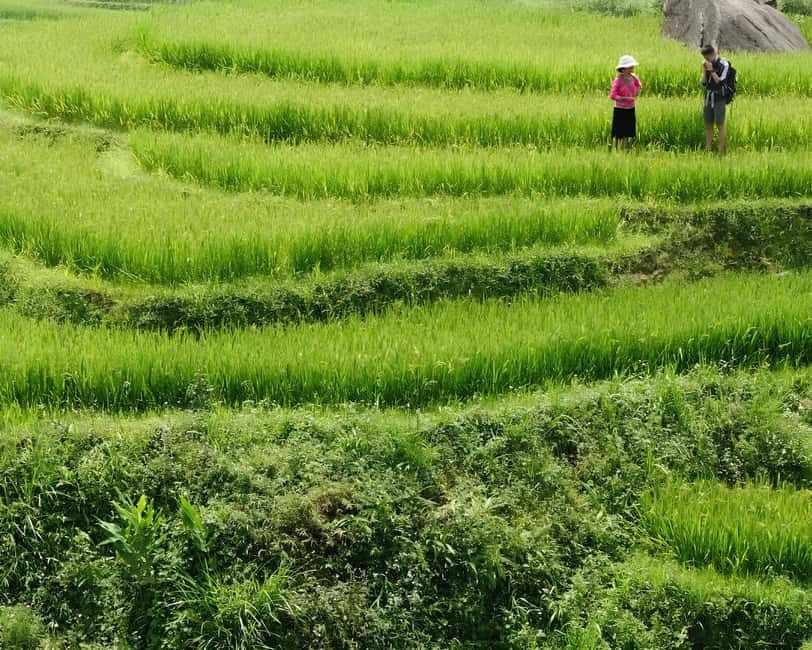 Sapa 1 Day Long Trek: Trek to Hau Thao and Sa Seng Villages - Hau Thao and the farming calendar