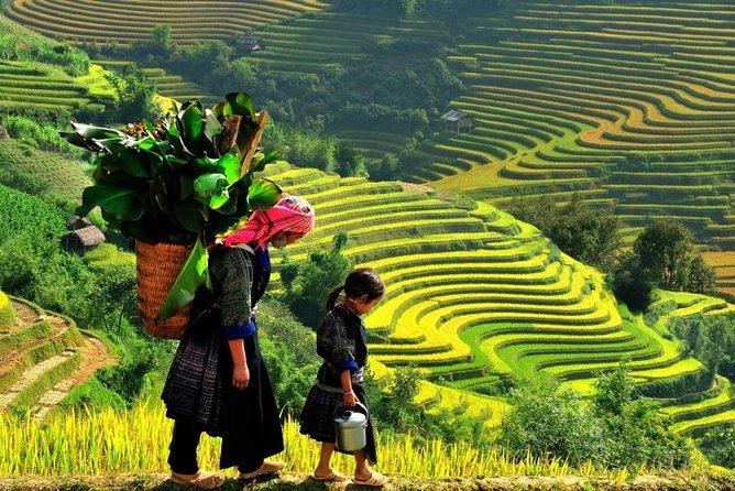 Sapa 2 Days 1 Night From Hanoi - Overnight in Hotel - Meals, group size, and what the $89 covers