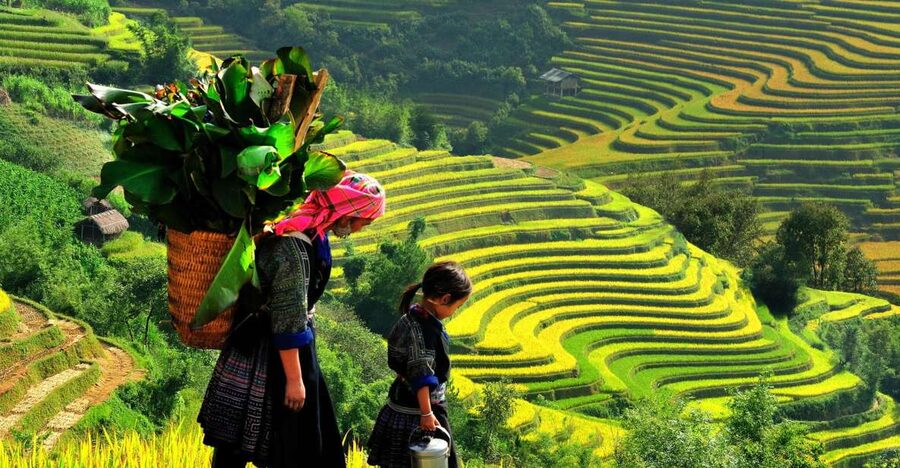 Sapa: 3-Day, 3-Night Trek and Hotel with Overnight Train - Night train from Hanoi to Lao Cai