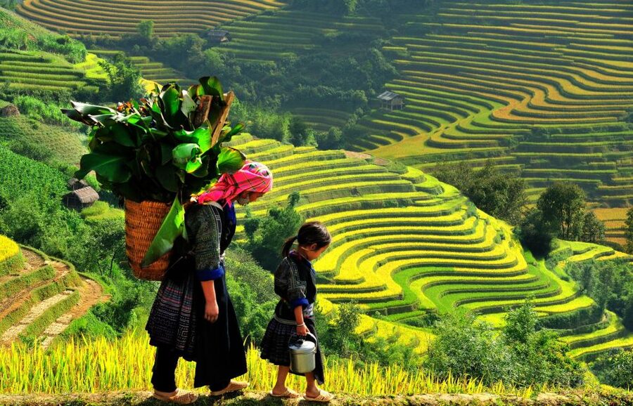 Sapa: 3-Day, 3-Night Trek and Hotel with Overnight Train - Day 2 through Y Linh Ho and Lao Chai