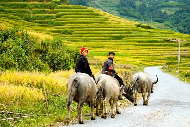 Sapa 3 Days 2 Nights Trekking Tour (1 Night In Ta Van Village, 1 Night In Hotel) - What the $139 price really covers