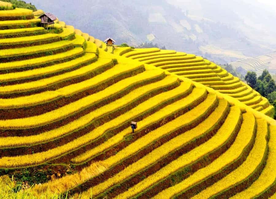 Sapa: Cat Cat Village, Moana, Alpine Coaster, Fansipan Cable - Final call: a useful first look at Sapa