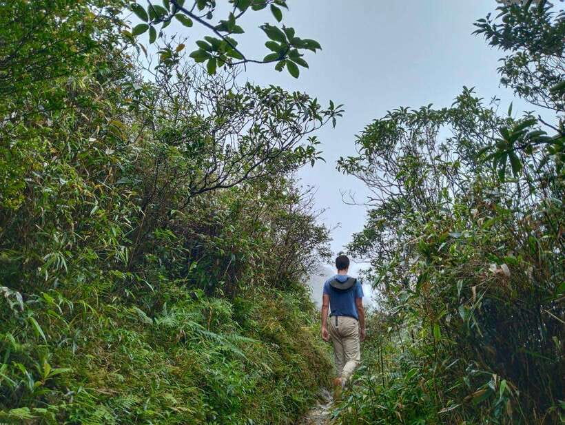 SAPA : Climb up to Fansipan mountain with LOCAL GUIDE - A local view of Fansipan and Sapa