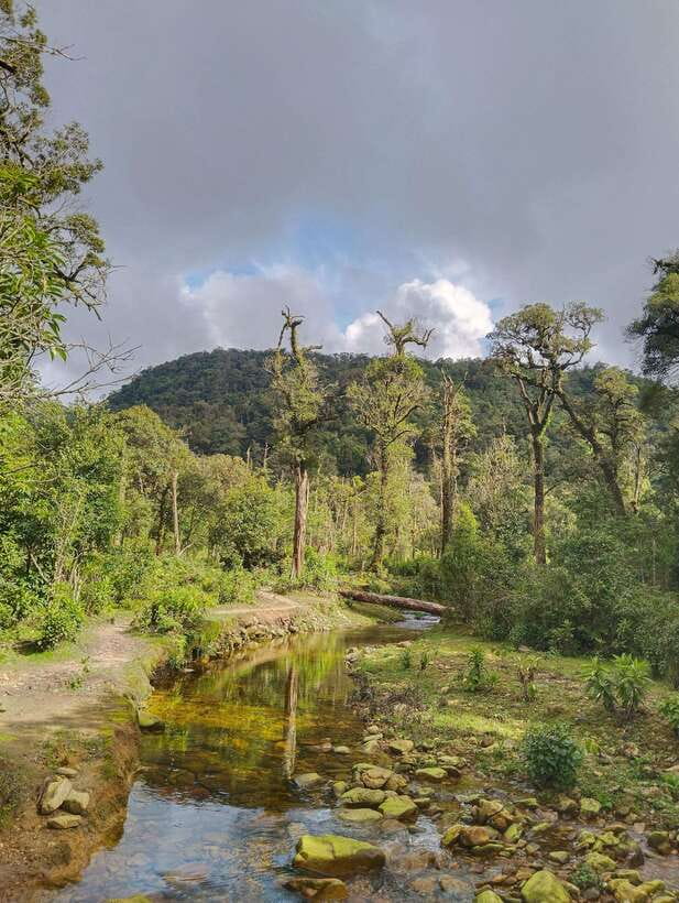 SAPA : Climb up to Fansipan mountain with LOCAL GUIDE - Lunch on the mountain