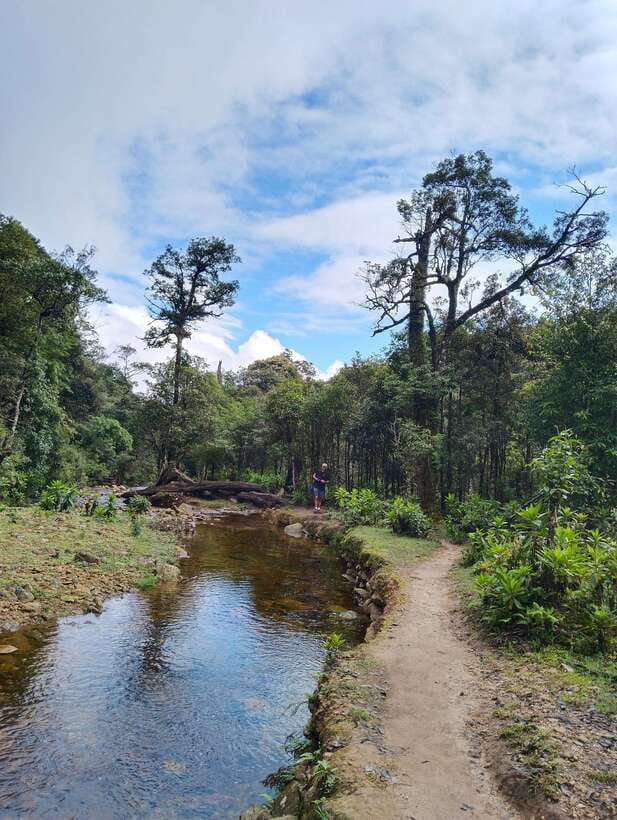 SAPA : Climb up to Fansipan mountain with LOCAL GUIDE - Reaching the 3,143-meter summit