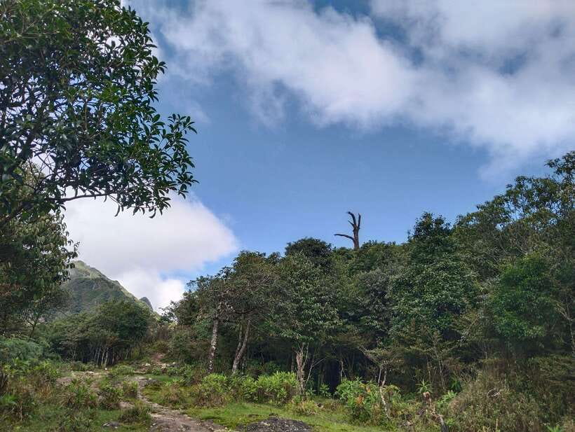 SAPA : Climb up to Fansipan mountain with LOCAL GUIDE - The descent and the cable-car decision