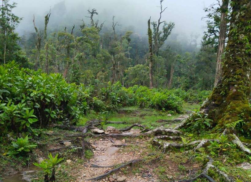 SAPA : Climb up to Fansipan mountain with LOCAL GUIDE - Who should take this hike