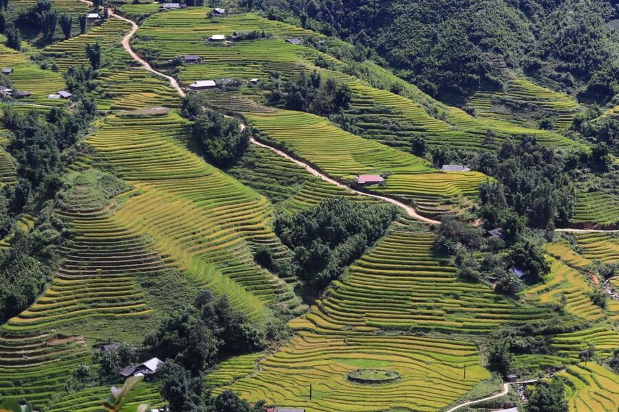 Sapa: Local Exploration on a Guided Motorbike Tour - Price, group size, and what you really receive