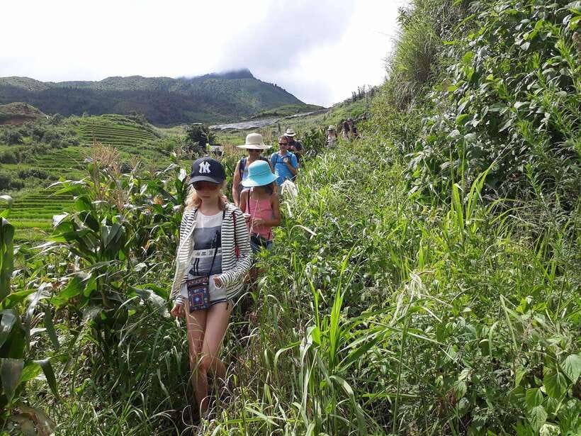Sapa: Love Silver Waterfall, LonelyTree in Heaven-Rice Field - Who should book this Sapa day?