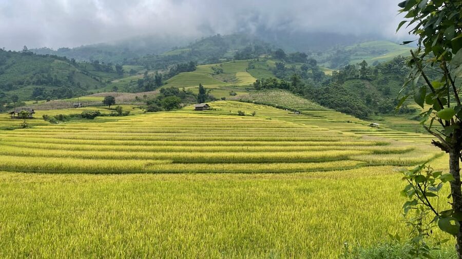 Sapa: Motorbike Tour 1 Day Visit Waterfalls & Local Villages - Ta Van, Hau Thao, and Su Pan on the return route