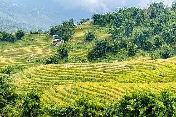 Sapa Motorbike Tour With Local Guide 1 Day - Waterfalls, Villages - Muong Hoa Valley is the heart of the day