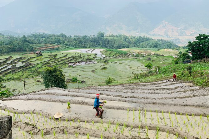 Sapa Motorbike Tour With Local Guide 1 Day - Waterfalls, Villages - Driving yourself or riding with a local driver