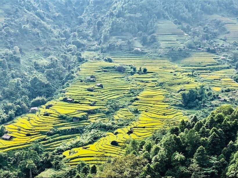 Sapa: Private Highlights Day Tour with Lunch - A full day across Sa Pa’s valleys and high mountain roads