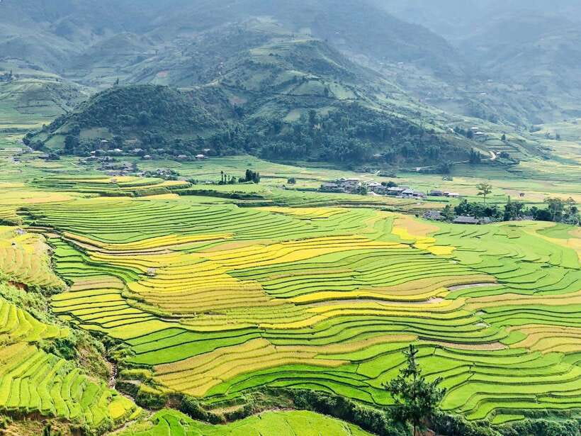 Sapa: Private Highlights Day Tour with Lunch - Cat Cat Village brings the first dose of Sa Pa culture