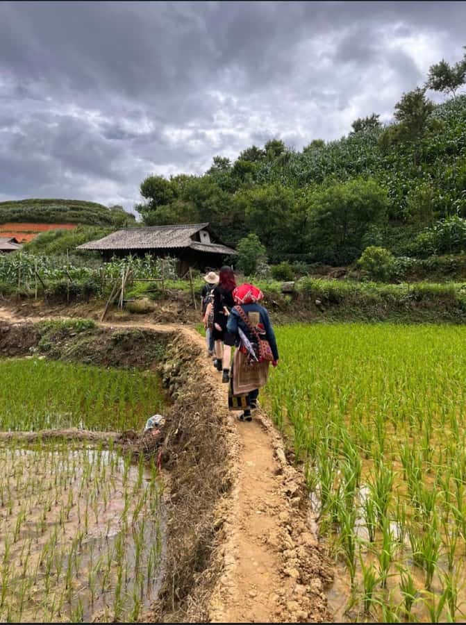 Sapa: Y Linh Ho - Lao Chai, and Ta Van Trekking Day Tour - How good is the $19 value?