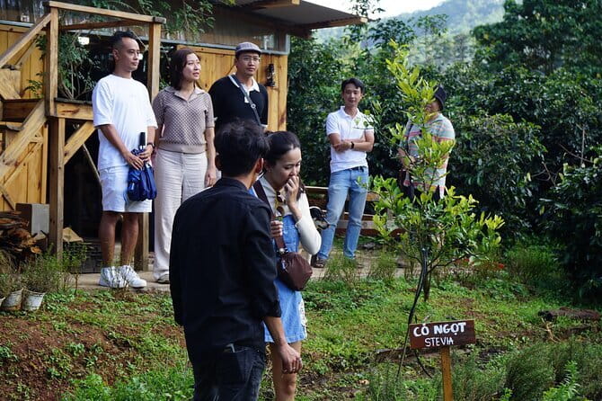 Scented Candle Workshop in Twin Beans Farm Da Lat - Is $13.85 good value?