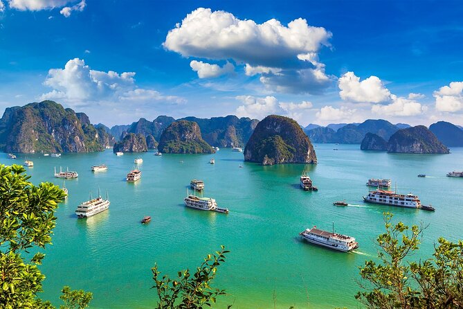 Shore Excursion: Amazing Day Cruise at Ha Long Bay - Lunch on board, with a few details to clarify