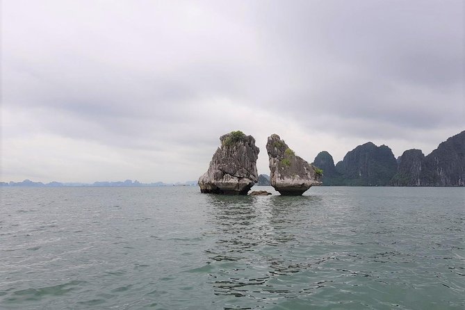 Shore Excursion: Amazing Day Cruise at Ha Long Bay - Is $89 a good value?