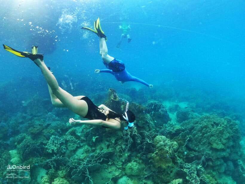 South Phu Quoc: Pro Snorkeling Tour by Speedboat - Key Points Before You Book