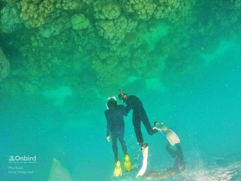 South Phu Quoc: Pro Snorkeling Tour by Speedboat - The Island or Beach Stop After Snorkeling