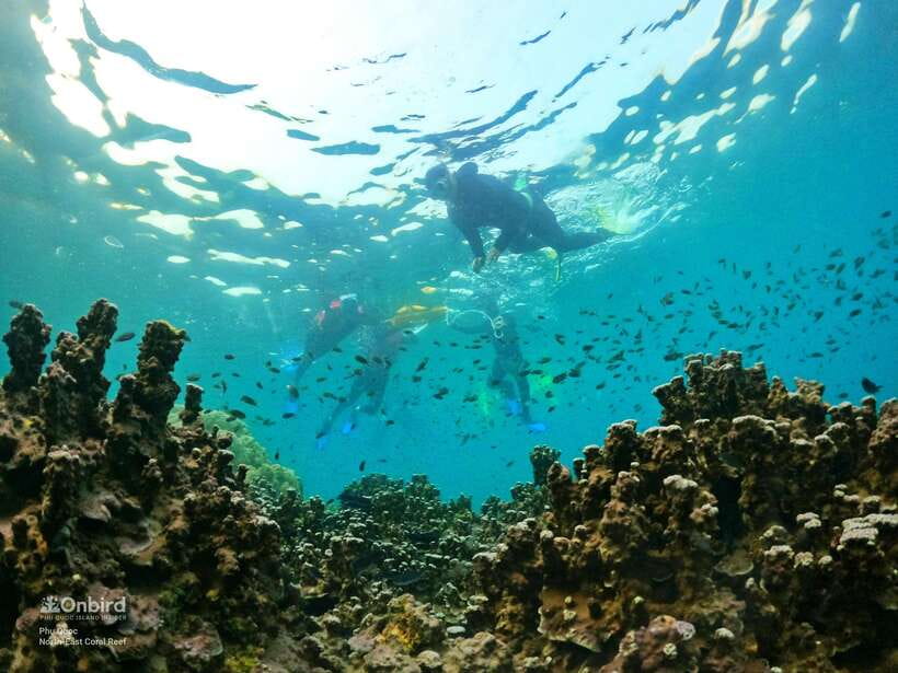 South Phu Quoc: Pro Snorkeling Tour by Speedboat - My Verdict: A Strong Choice for Reef Time