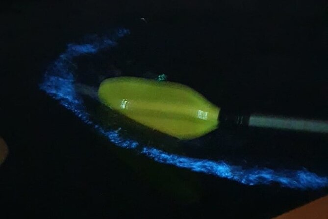 Sunset & Bioluminescent Plankton Kayaking Lan Ha bay - Why the glowing water makes this Lan Ha Bay trip special