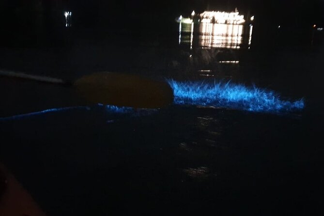 Sunset & Bioluminescent Plankton Kayaking Lan Ha bay - Is $43 a good value for this Cat Ba evening?