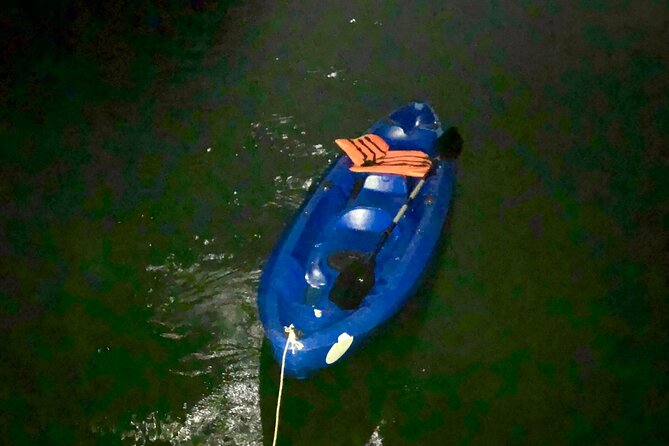 Sunset & Bioluminescent Plankton Kayaking Lan Ha bay - 3:45 pm: Leaving Cat Ba for Cai Beo floating village