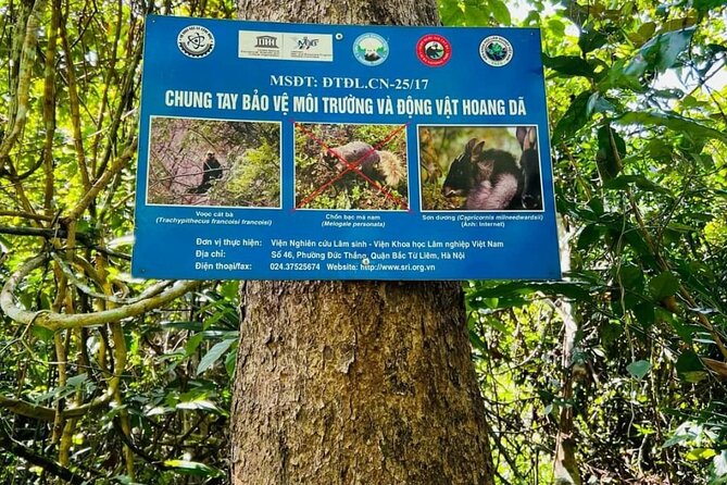 The Hidden Trails of Cat Ba - Why this Cat Ba day works so well