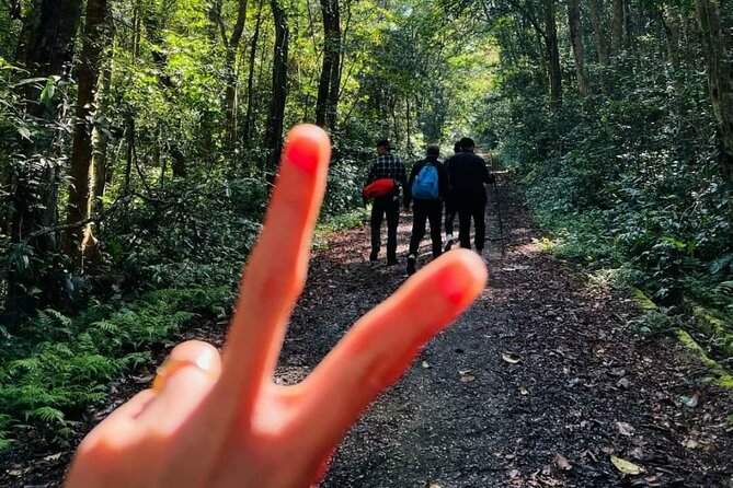 The Hidden Trails of Cat Ba - Navy Peak, cycling, and the choice after lunch