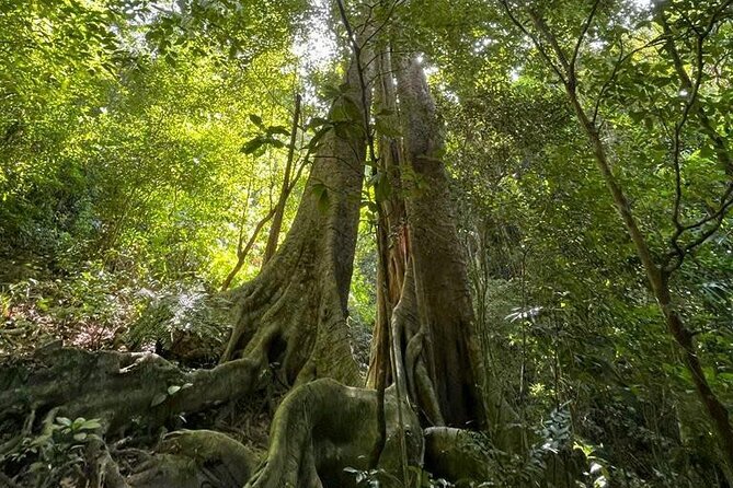The Hidden Trails of Cat Ba - What the small-group format adds