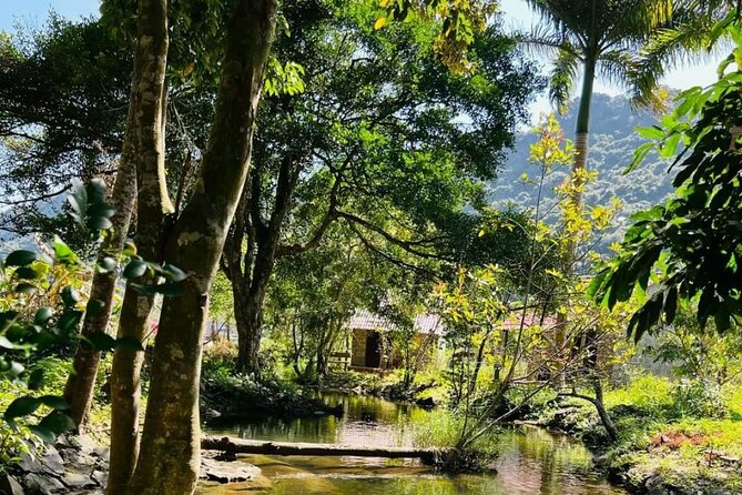 The Hidden Trails of Cat Ba - Hiking 9 kilometers through Cat Ba National Park