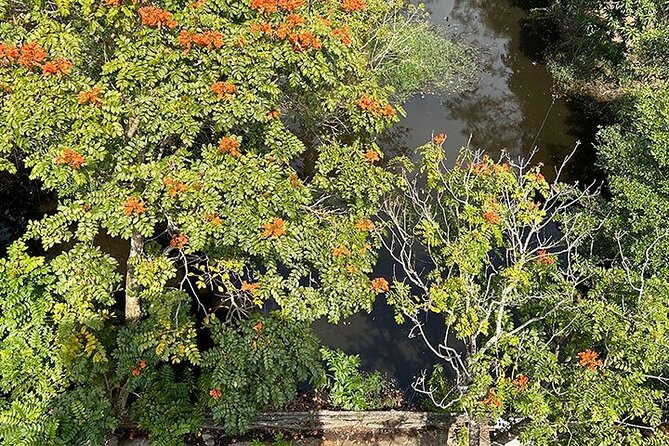 Tour for Nature lover- Lung Ngoc Hoang Nature Reserve in Can Tho - Walking into a 2,800-hectare wetland