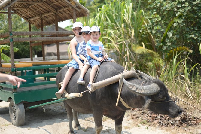 Traditional Cooking Class with Basket Boat Ride and market Tour - Hoi An Market: Start With the Ingredients