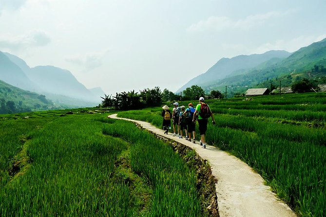 Trekking Through Rice Terraced Fields - 1Day - Starting from Sapa at 9 or 9:30