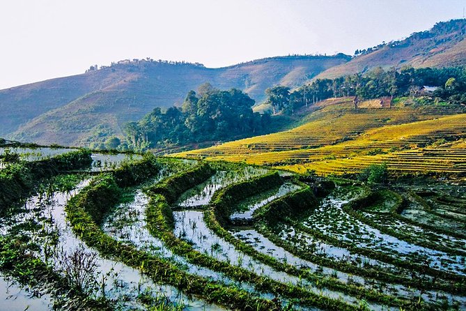 Trekking Through Rice Terraced Fields - 1Day - Lao Chai: a Black Hmong village and a well-earned break