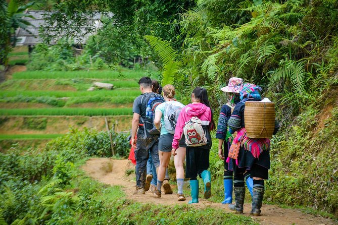 Trekking Through Rice Terraced Fields - 1Day - What the guides add to the day
