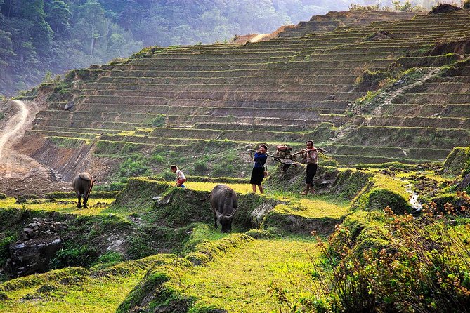 Trekking Through Rice Terraced Fields - 1Day - The physical effort: moderate on paper, serious in places