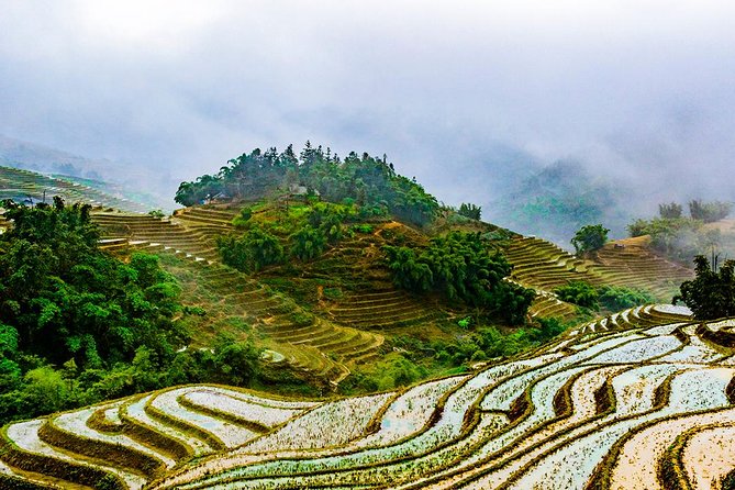 Trekking Through Rice Terraced Fields - 1Day - Is $45 good value for Sapa?