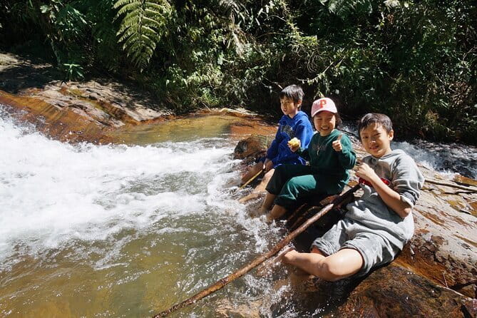 Trekking Tour to Hidden Waterfall & Sturgeon Farm for dog-lovers - What the three-hour schedule feels like