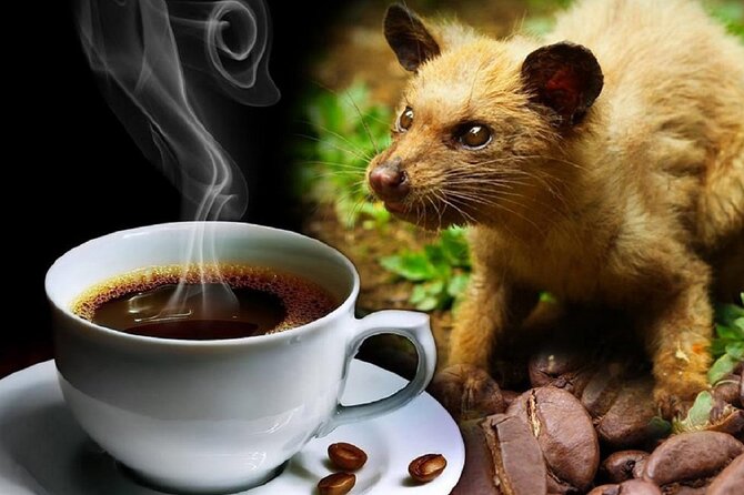Vietnamese Culture and Coffee Making Class - The five drinks you prepare