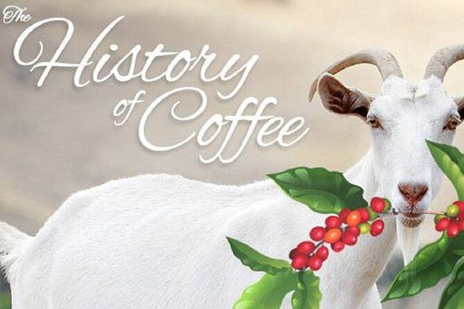 Vietnamese Culture and Coffee Making Class - Location, timing, and practical details